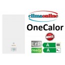 OneCalor 24 kw a condensazione