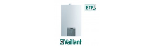 VAILLANT camera stagna